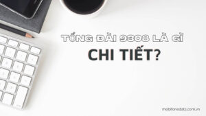 tong-dai-9308-la-gi-chi-tiet