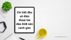 chi-tiet-dau-so-dien-thoai-lua-dao-028-nen-canh-giac